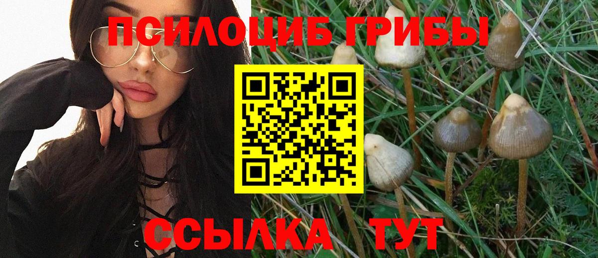 Славянск-на-Кубани  Галлюциногенные грибы Cubensis  Вход с VPN  Псилоцибиновые грибы мицелий 